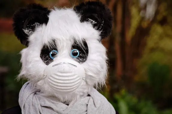 Kasyno Volcano Bingo Wsparcie